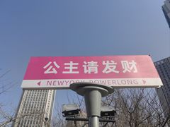 -苏玉梅奶酪(一中店)