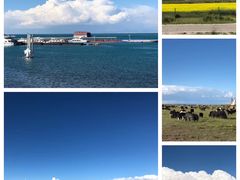 -青海湖国家重点风景名胜区