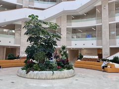 -厦门市图书馆(集美新城馆区)