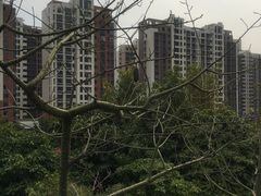 -晋江五店市传统文化旅游区
