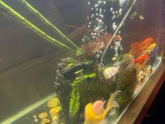 -SPA·印象足道养生(大运河度假区四望亭店)