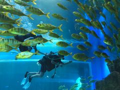 -华夏文旅海洋公园