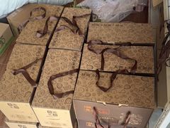 -南汇新场正宗水蜜桃采摘