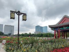 -西海子公园
