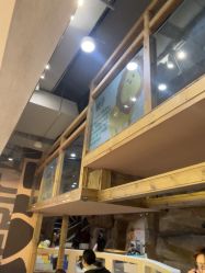 -鲁比猴非洲探索部落(喜盈门店)