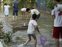 -永定河休闲森林公园