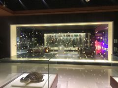 -青岛贝壳博物馆