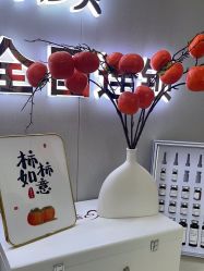 -苗方清颜专业祛痘·皮肤管理