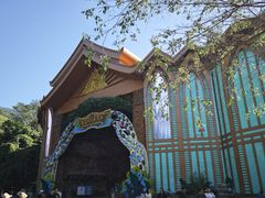 -西双版纳原始森林公园