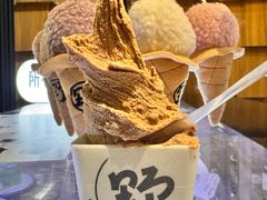 -野人先生现做冰淇淋(北京顺义祥云小镇店)