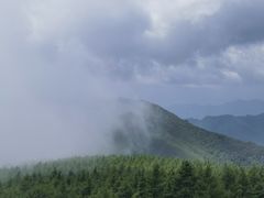 -白草畔自然风景区
