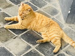 -平安桥天主教堂