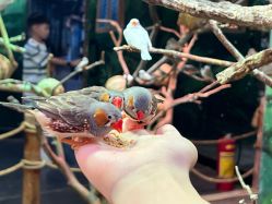 -Zoolung Zoolung动物主题公园(海信广场店)