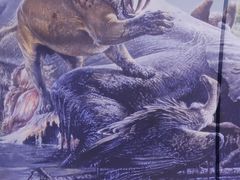 -房山世界地质公园博物馆