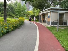 -望湖公园