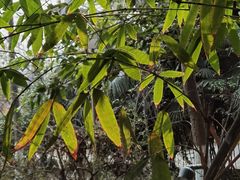 -成飞公园