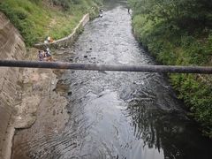 -白鹭湾湿地公园