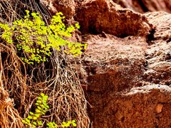 -天山神秘大峡谷