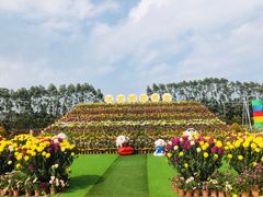 -迪茵湖田家舍生态农场