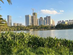 -洛龙公园
