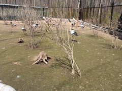 -哈尔滨北方森林动物园
