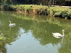 -长白岛森林公园