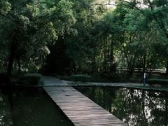 -燕晗山郊野公园