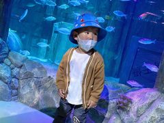 -沈阳海洋探索中心