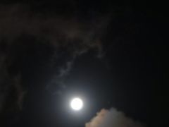 -七浦路服装批发市场