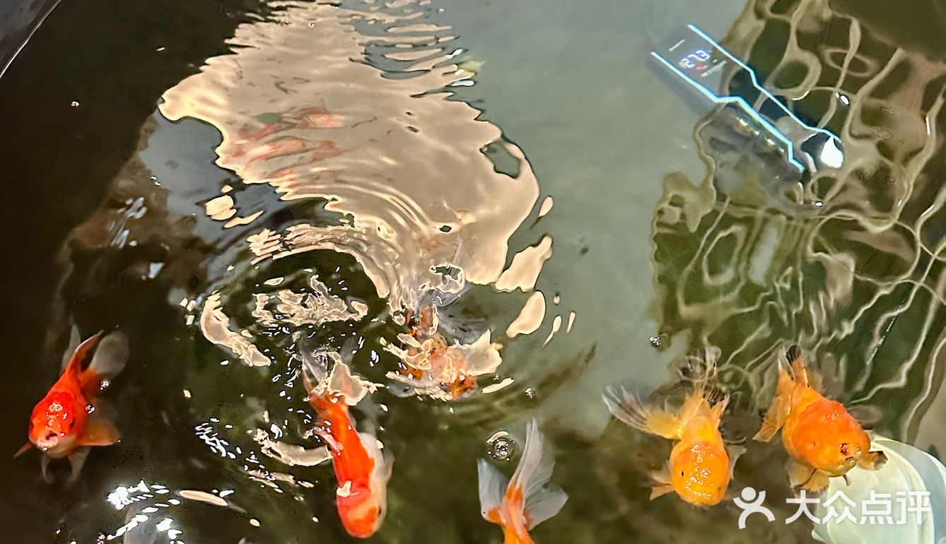 暑假顶着40°高温也要带孩子来北京吃这个！