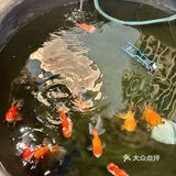 暑假顶着40°高温也要带孩子来北京吃这个！