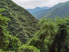 -太平万花山景区