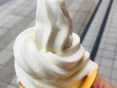 -王婆乔鲜鱼自助火锅(蜀汉路店)