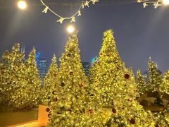 -城市露台景观餐厅(淮海路店)