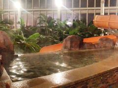 -中家鑫园温泉酒店鑫悦汤泉