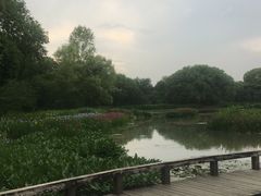 -西溪国家湿地公园