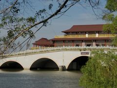 -大湾区中央湿地公园