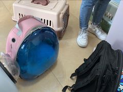 -灵美宠物诊所