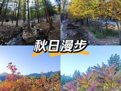 -白水寺森林公园