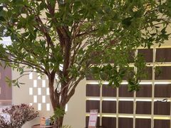 -静耳元気采耳·按摩·SPA(万象前海店)