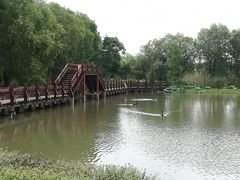 -长兴太湖图影湿地文化园