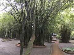 -英西峰林·洞天仙境