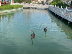 -蓬莱欧乐堡梦幻世界