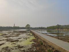 -大兴滨河森林公园