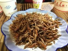 -摩梭传统篝火晚会