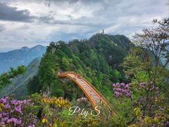 -神农架景区