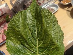 -麻蒲碳烤肉(嘉禾东平地铁站19号店)
