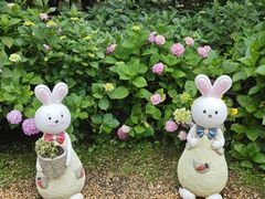 -上海共青森林公园