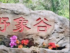 -野象谷景区