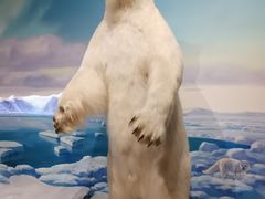 -陕西自然博物馆